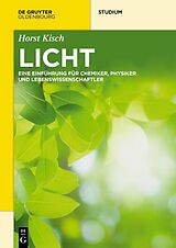 E-Book (pdf) Licht von Horst Kisch