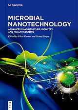 E-Book (pdf) Microbial Nanotechnology von 