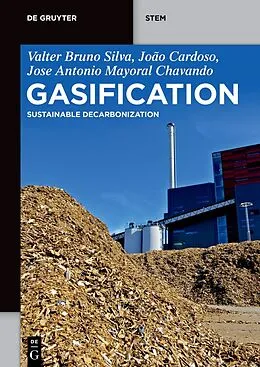 E-Book (epub) Gasification von Valter Bruno Silva, João Cardoso, Antonio Chavando