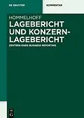 E-Book (epub) Lagebericht und Konzernlagebericht von Peter Hommelhoff
