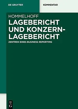E-Book (epub) Lagebericht und Konzernlagebericht von Peter Hommelhoff