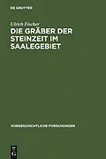 PDF Die Gräber der Steinzeit im Saalegebiet von Ulrich Fischer