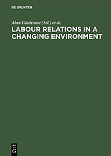 E-Book (pdf) Labour Relations in a Changing Environment von 