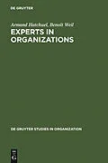 E-Book (pdf) Experts in Organizations von Armand Hatchuel, Benoît Weil
