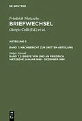 E-Book (pdf) Briefe von und an Friedrich Nietzsche Januar 1885 - Dezember 1886 von Holger Schmid