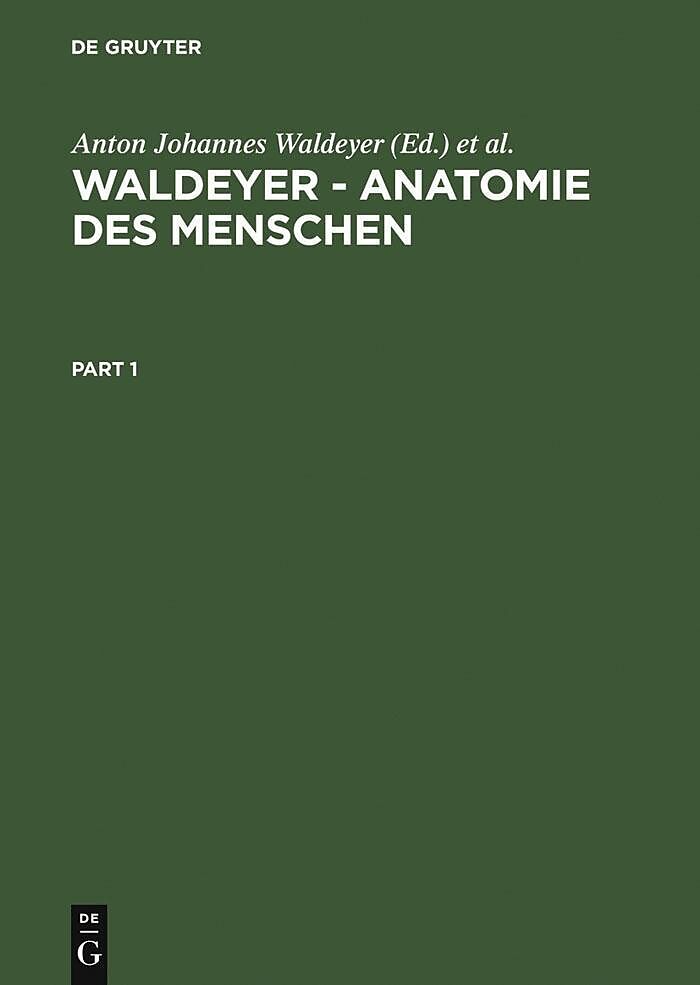 Waldeyer  Anatomie des Menschen