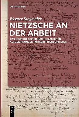 E-Book (pdf) Nietzsche an der Arbeit von Werner Stegmaier