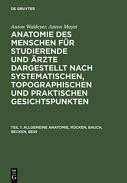 E-Book (pdf) Anton Waldeyer; Anton Mayet: Anatomie des Menschen / Allgemeine Anatomie, Rücken, Bauch, Becken, Bein von Anton Waldeyer, Anton Mayet