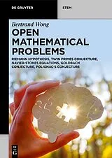 Kartonierter Einband Open Mathematical Problems von Bertrand Wong