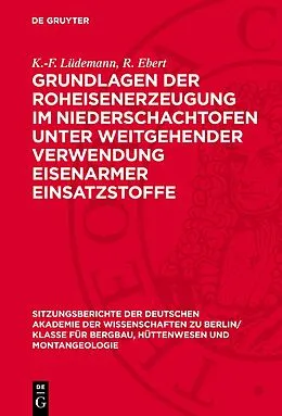 E-Book (pdf) Grundlagen der Roheisenerzeugung im Niederschachtofen unter weitgehender Verwendung eisenarmer Einsatzstoffe von K.-F. Lüdemann, R. Ebert