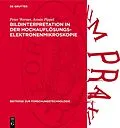 E-Book (pdf) Bildinterpretation in der Hochauflösungs-Elektronenmikroskopie von Reinald Hillebrand, Kurt Scheerschmidt, Wolfgang Neumann