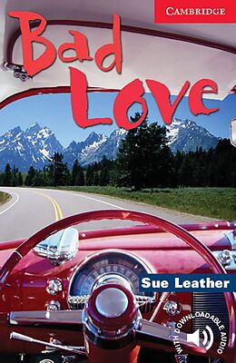 Kartonierter Einband (Kt) Bad Love von Sue Leather
