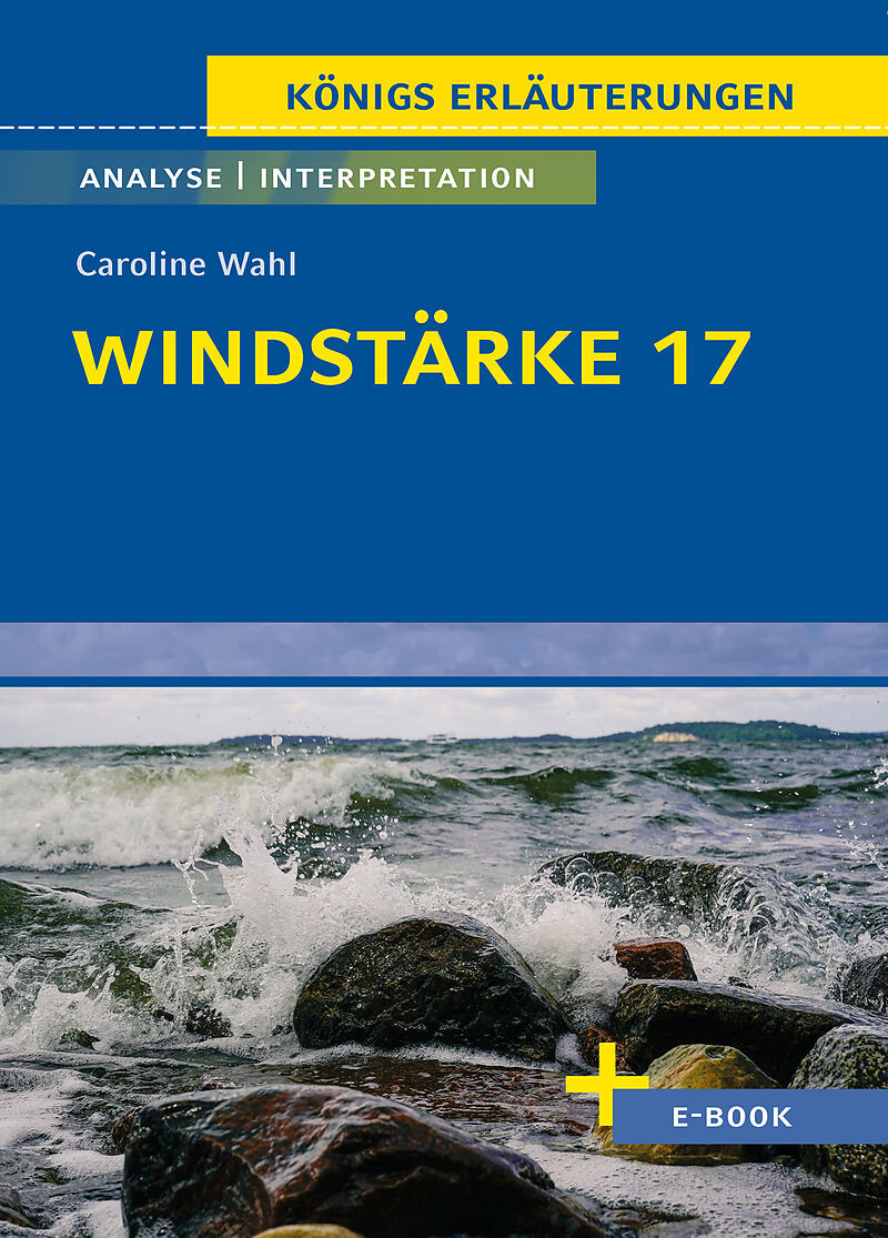 Windstärke 17 von Caroline Wahl