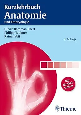 E-Book (pdf) Kurzlehrbuch Anatomie von Ulrike Bommas-Ebert, Philipp Teubner, Rainer Voß