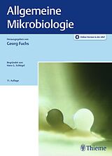 Set mit div. Artikeln (Set) Allgemeine Mikrobiologie von Hans G Schlegel