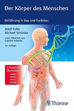 E-Book (epub) Der Körper des Menschen von Adolf Faller, Michael Schünke
