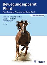 Set mit div. Artikeln (Set) Bewegungsapparat Pferd von Michaela Wieland, Claudia Schebsdat, Jörne Rentsch