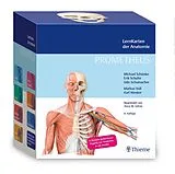 Textkarten / Symbolkarten PROMETHEUS LernKarten der Anatomie von Michael Schünke, Erik Schulte, Udo Schumacher