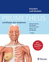 Poster (Non) PROMETHEUS LernPoster der Anatomie, Knochen und Muskeln von Michael Schünke, Erik Schulte, Udo Schumacher