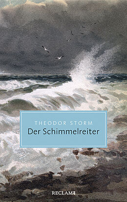 Kartonierter Einband Der Schimmelreiter von Theodor Storm