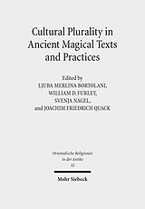 eBook (pdf) Cultural Plurality in Ancient Magical Texts and Practices de 