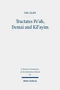 E-Book (pdf) Tractates Pe'ah, Demai and Kil'ayim von Tal Ilan