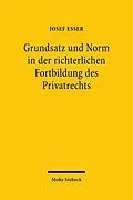 E-Book (pdf) Grundsatz und Norm in der richterlichen Fortbildung des Privatrechts von Josef Esser