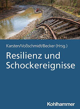 Kartonierter Einband Resilienz und Schockereignisse von 