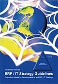 E-Book (epub) ERP / IT Strategy Guidelines von Johannes Schwab