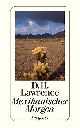 Kartonierter Einband Mexikanischer Morgen von D.H. Lawrence