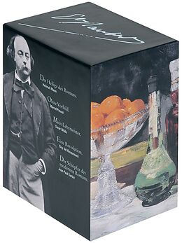 Kartonierter Einband Werke in 8 Bänden in Kassette von Gustave Flaubert