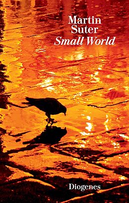 Fester Einband Small World von Martin Suter