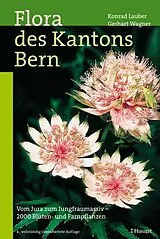 Fester Einband Flora des Kantons Bern von Konrad Lauber, Gerhart Wagner, Andreas Gygax