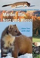 Fester Einband Marder, Iltis, Nerz und Wiesel von Paul Marchesi, Claude Mermod, Hans C. Salzmann