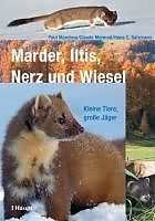 Marder, Iltis, Nerz und Wiesel