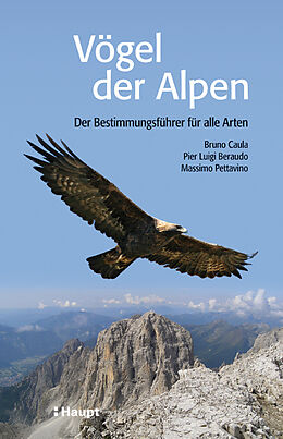 Kartonierter Einband Vögel der Alpen von Bruno Caula, Pier Luigi Beraudo, Massimo Pettavino