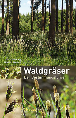 Fester Einband Waldgräser von Christine Rapp, Norbert Bartsch