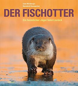 Fester Einband Der Fischotter von Irene Weinberger, Hansjakob Baumgartner