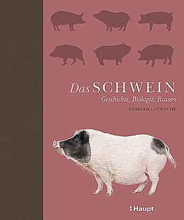 Fester Einband Das Schwein von Richard Lutwyche