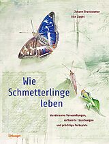 Fester Einband Wie Schmetterlinge leben von Johann Brandstetter, Elke Zippel