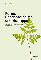Kartonierter Einband Farne, Schachtelhalme und Bärlappe von Muriel Bendel, Françoise Alsaker