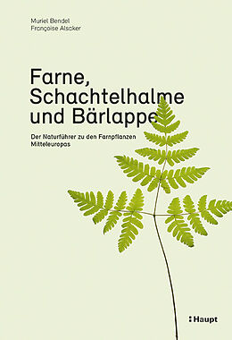 Kartonierter Einband Farne, Schachtelhalme und Bärlappe von Muriel Bendel, Françoise Alsaker