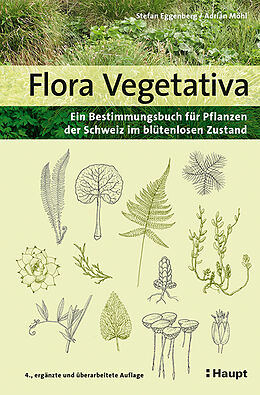Kartonierter Einband Flora Vegetativa von Stefan Eggenberg, Adrian Möhl