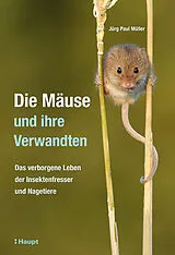 Fester Einband Die Mäuse und ihre Verwandten von Jürg Paul Müller