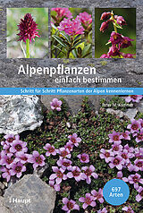 Fester Einband Alpenpflanzen einfach bestimmen von Peter M. Kammer