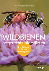 Kartonierter Einband Wildbienen artgerecht unterstützen von Angela K. Niebel-Lohmann