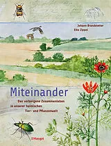 Fester Einband Miteinander von Johann Brandstetter, Elke Zippel