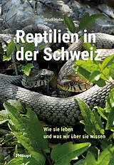 Fester Einband Reptilien in der Schweiz von Ulrich Hofer