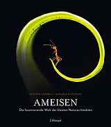 Fester Einband Ameisen von Heather Campbell, Benjamin Blanchard
