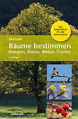 Fester Einband Bäume bestimmen - Knospen, Blüten, Blätter, Früchte von Rita Lüder